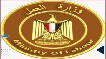 وظائف برواتب تصل إلى 16 ألف جنيه ومتاحة الآن: تفاصيل 185 فرصة عمل في السوق المحلي